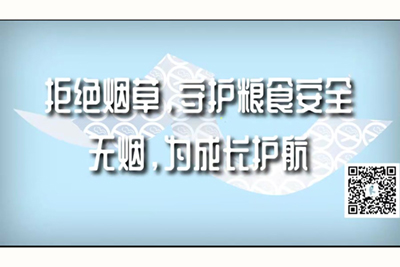 美女吃大吊被翻饺子皮拒绝烟草，守护粮食安全